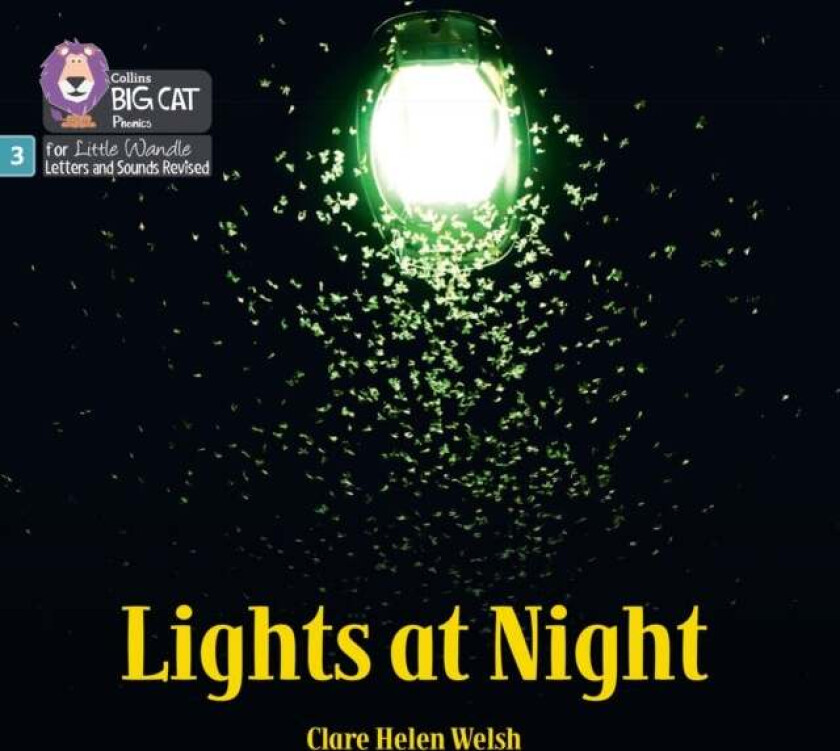 Lights at Night av Clare Helen Welsh