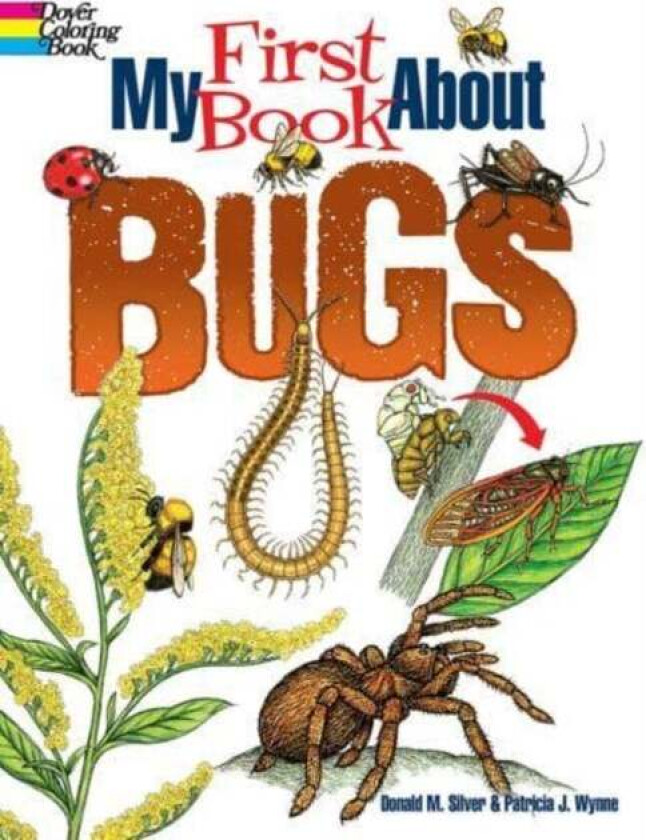 My First Book About Bugs av Patricia Wynne