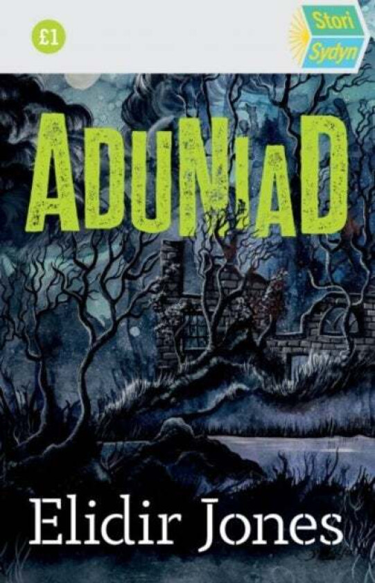 Stori Sydyn: Aduniad av Elidir Jones