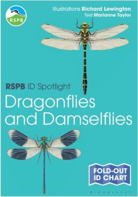RSPB ID Spotlight - Dragonflies and Damselflies av Marianne Taylor