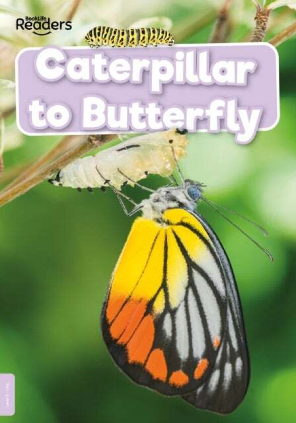 Caterpillar to Butterfly av William Anthony