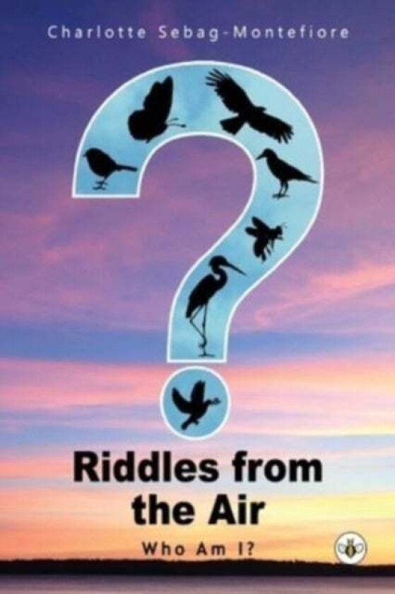 Riddles from the Air av Charlotte Sebag-Montefiore