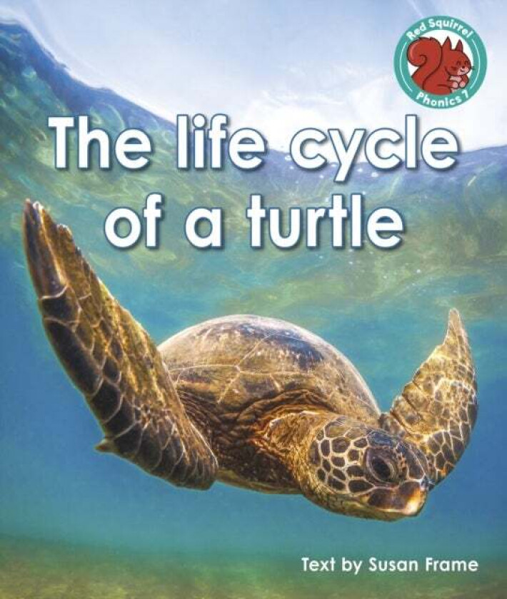 The life cycle of a turtle av Susan Frame