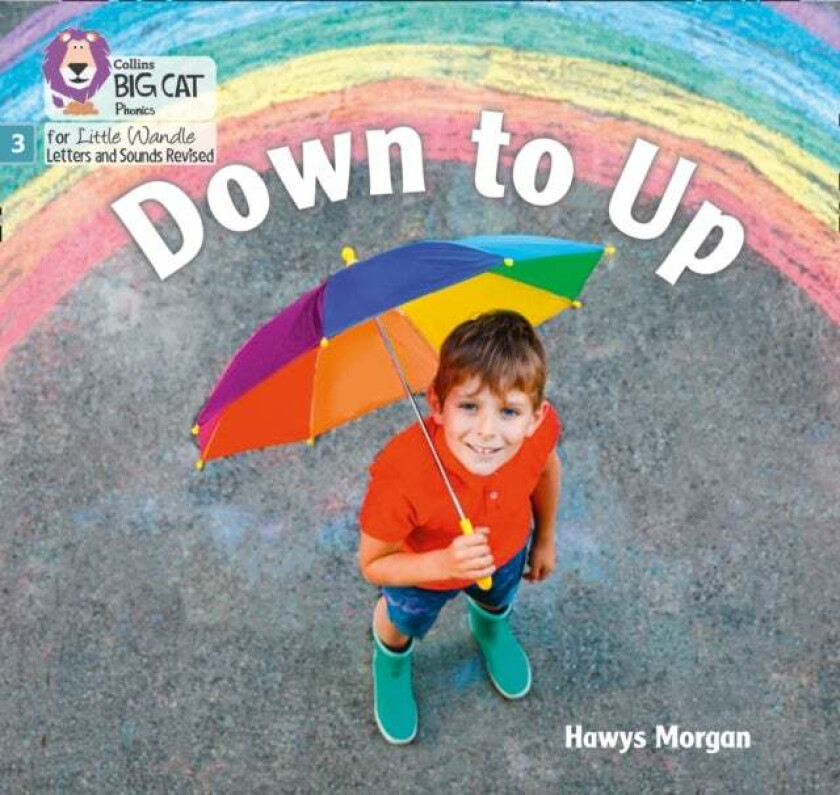 Down to Up av Hawys Morgan