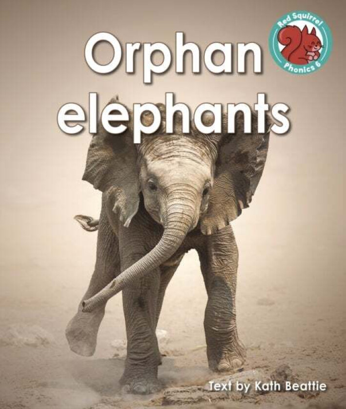 Orphan elephants av Kath Beattie