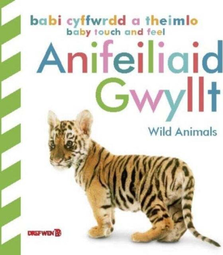 Babi Cyffwrdd a Theimlo: Anifeiliaid Gwyllt / Baby Touch and Feel: Wild Animals