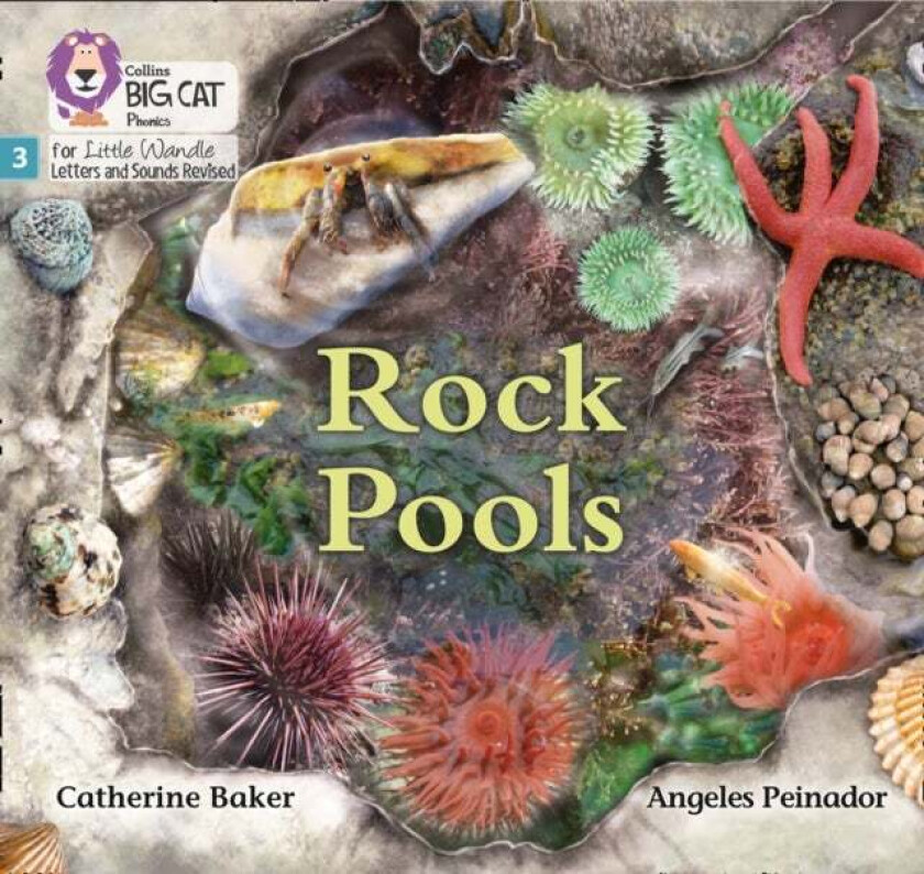 Rock Pools av Catherine Baker