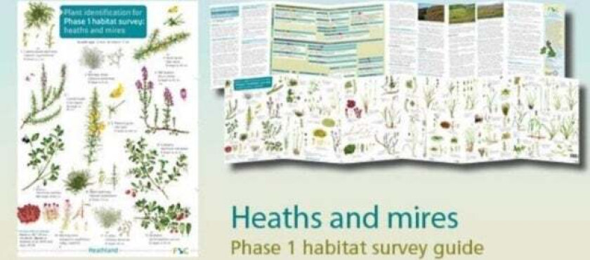 Plant identification for Phase 1 habitat survey: heaths and meres av Hilary Wallace, Mark Duffell