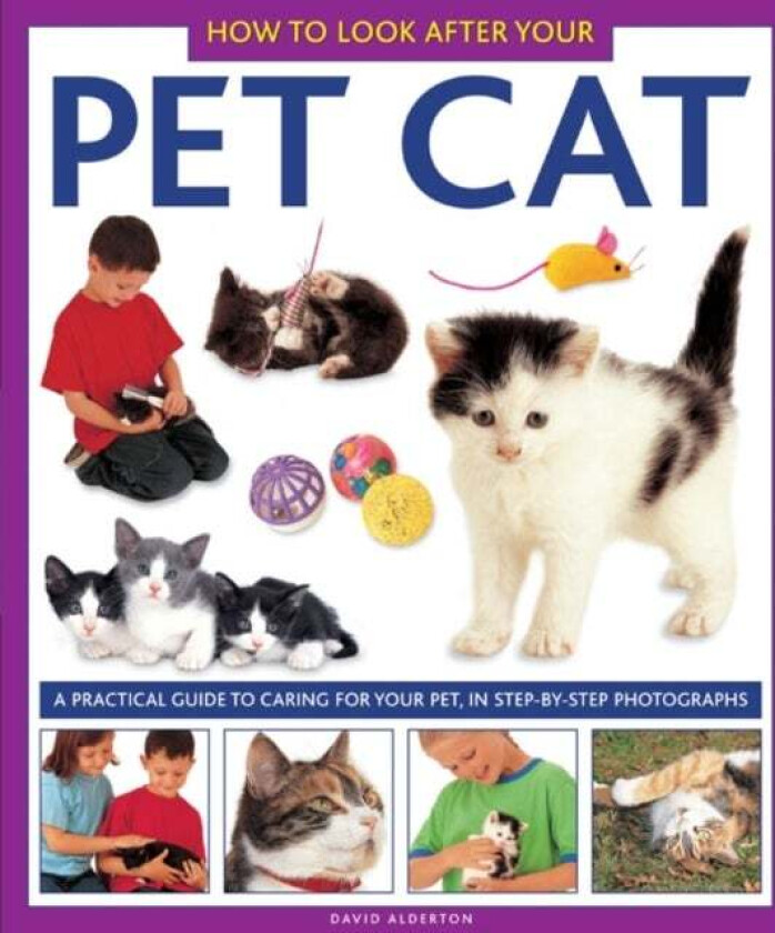 How to Look After Your Pet Cat av Alderton David