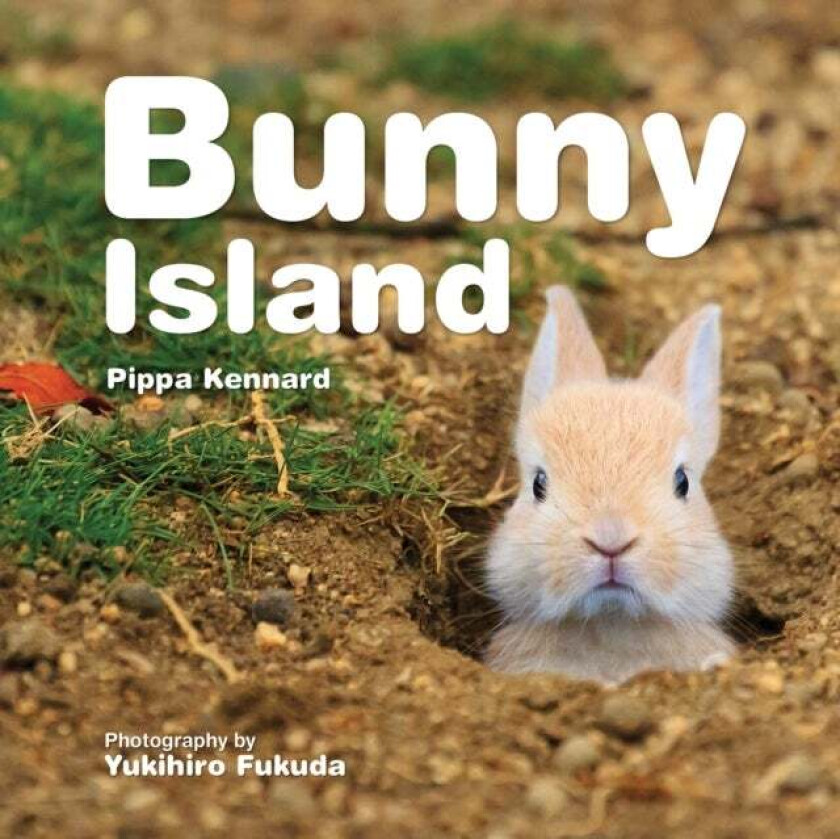 Bunny Island av Pippa Kennard