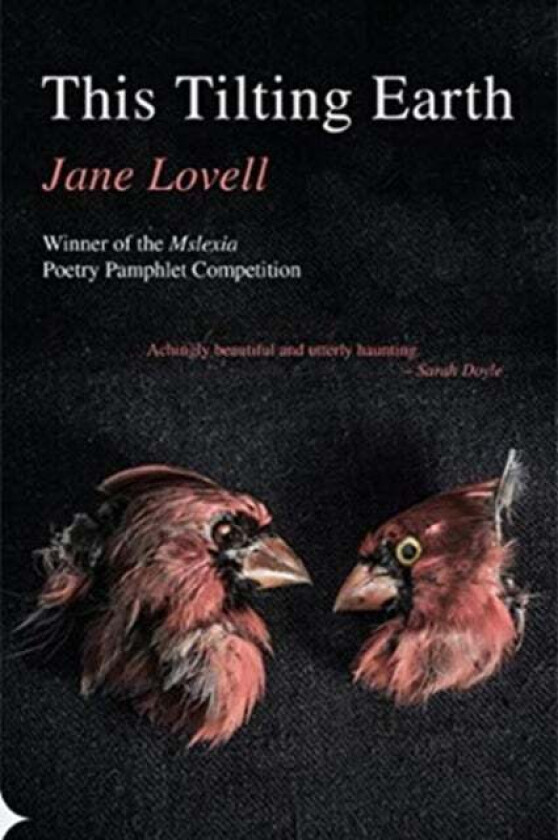 This Tilting Earth av Jane Lovell