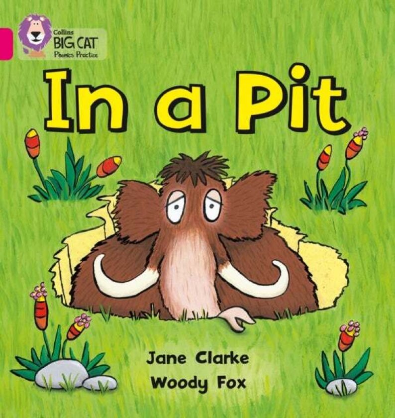 In a Pit av Jane Clarke, Woody Fox
