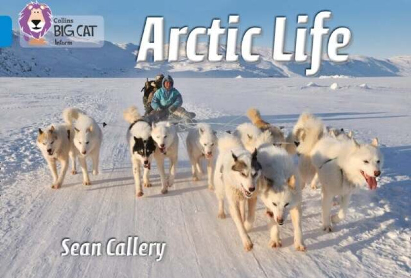 Arctic Life av Sean Callery