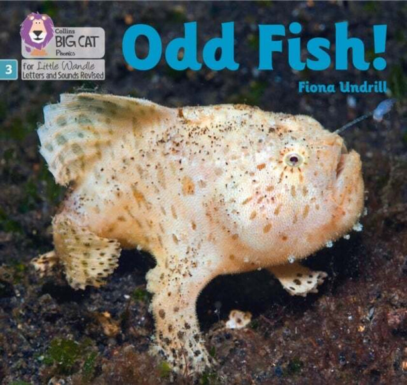 Odd Fish! av Fiona Undrill