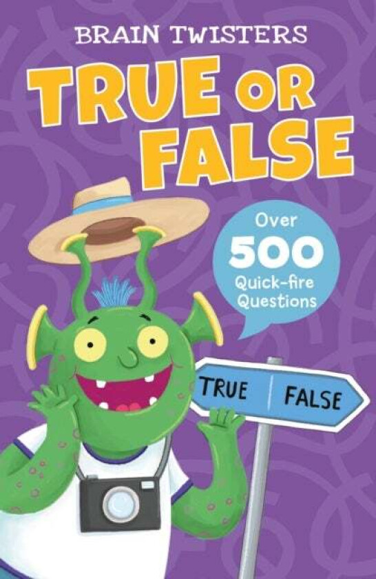 Brain Twisters: True or False av Ivy Finnegan