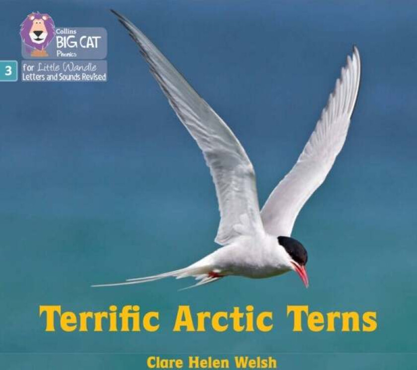 Terrific Arctic Terns av Clare Helen Welsh