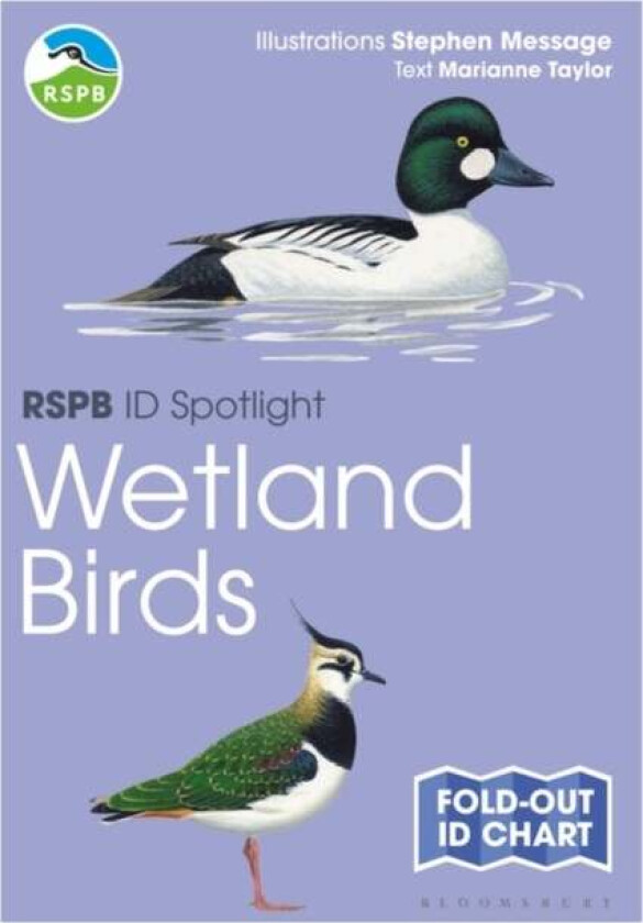 RSPB ID Spotlight - Wetland Birds av Marianne Taylor