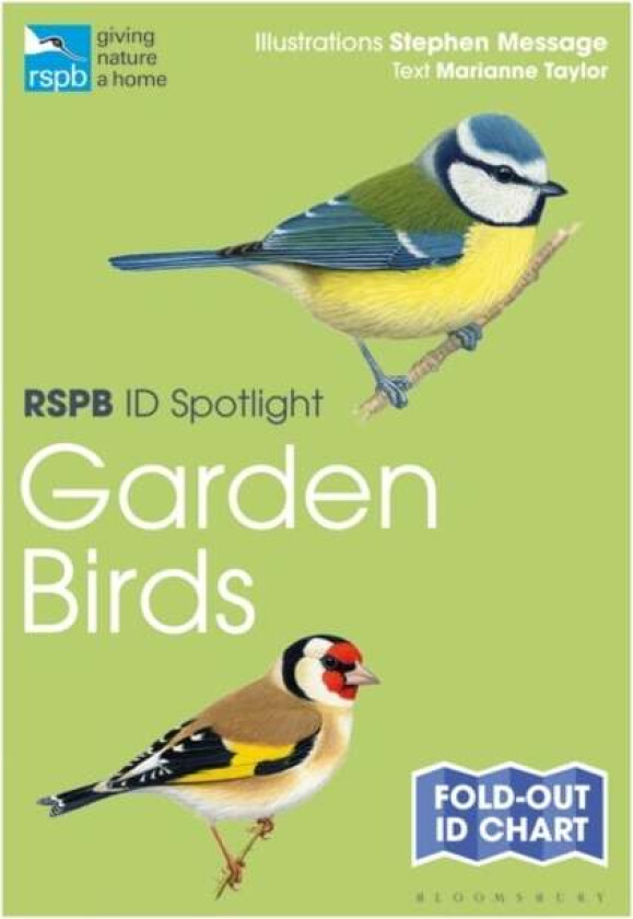RSPB ID Spotlight ¿ Garden Birds av Marianne Taylor