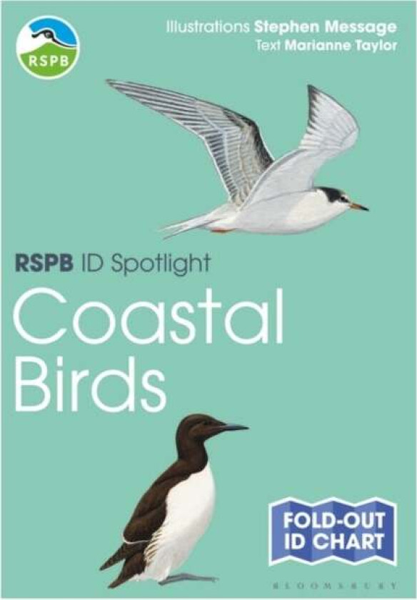RSPB ID Spotlight - Coastal Birds av Marianne Taylor