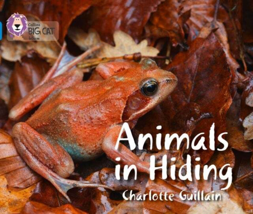 Animals in Hiding av Charlotte Guillain