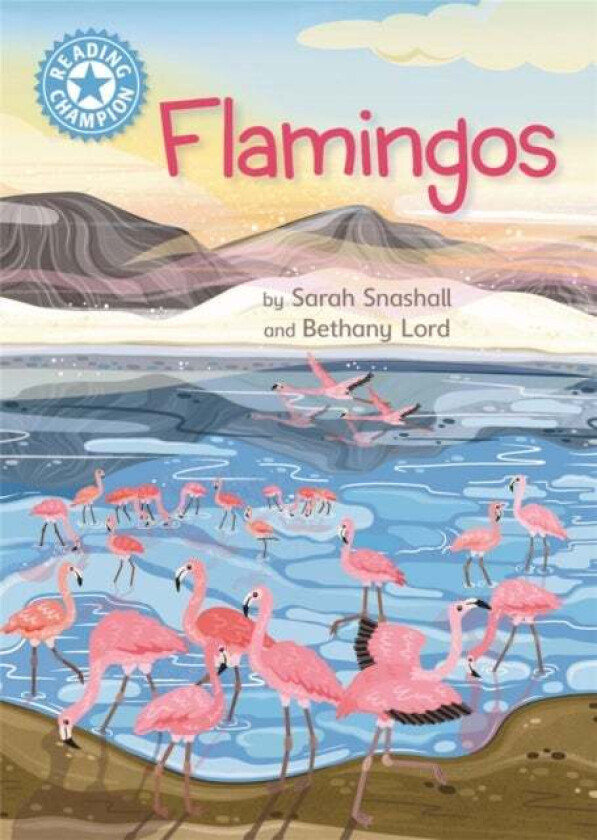 Reading Champion: Flamingos av Sarah Snashall