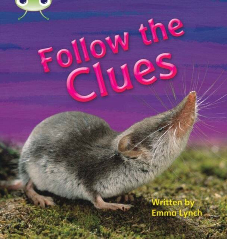Bug Club Phonics Non-fiction Set 18 Follow the Clues av Emma Lynch