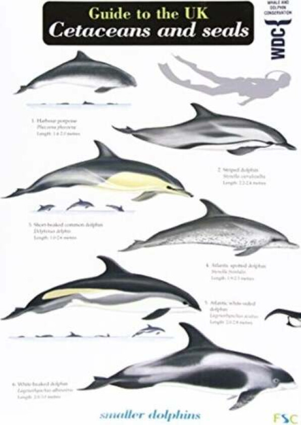 Guide to the UK Cetaceans and Seals av Mark Peter Simmonds