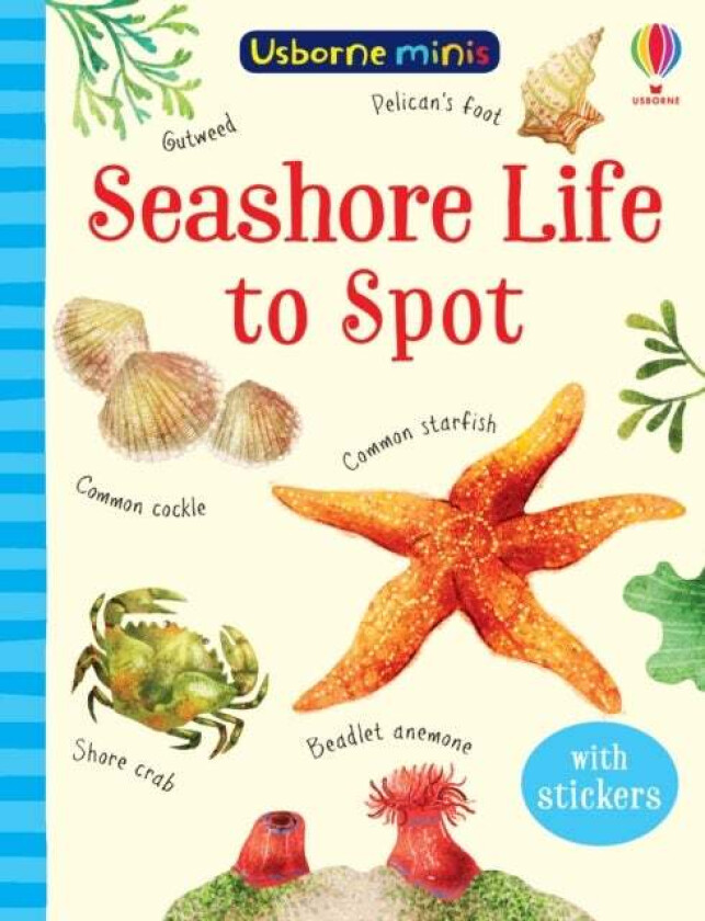 Seashore Life to Spot av Sam Smith