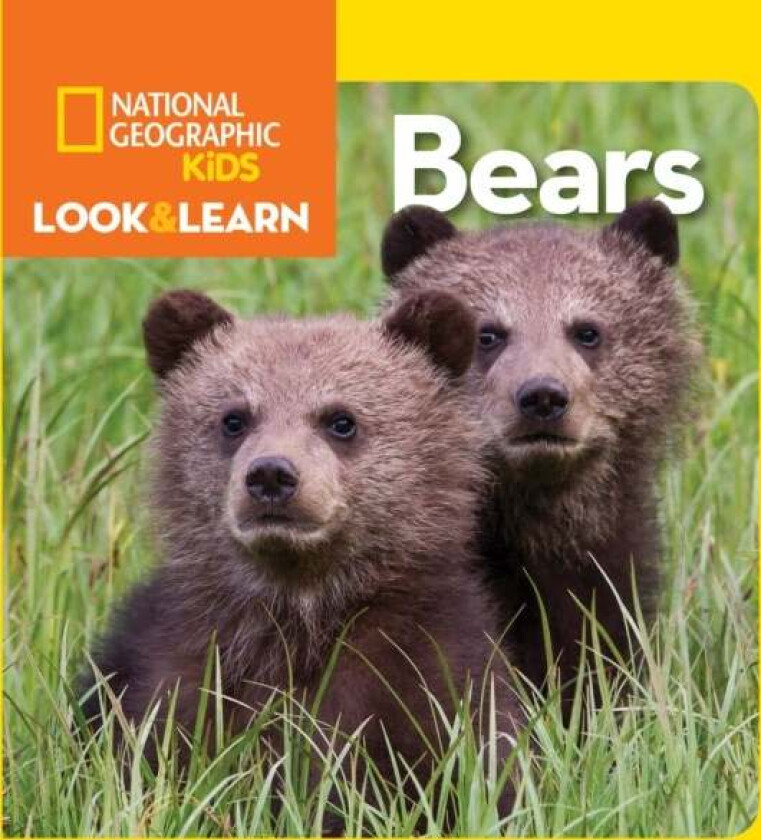 Look and Learn: Bears av National Geographic KIds