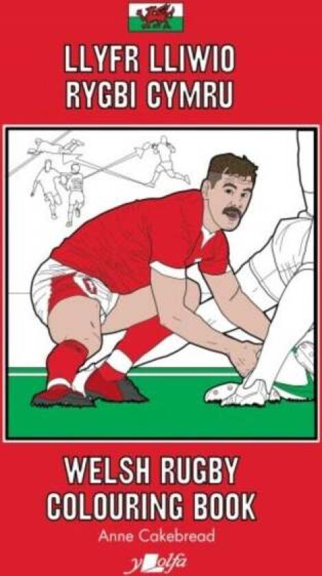 Llyfr Lliwio Rygbi Cymru / Welsh Rugby Colouring Book av Anne Cakebread