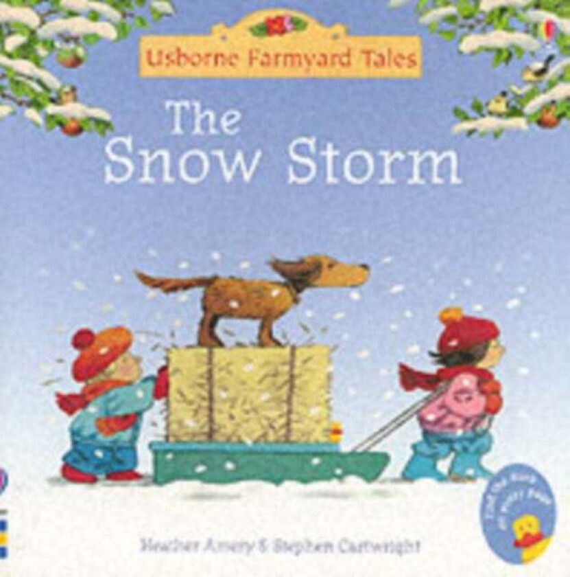 The Snow Storm av Heather Amery