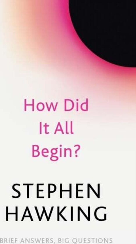 How Did It All Begin? av Stephen Hawking