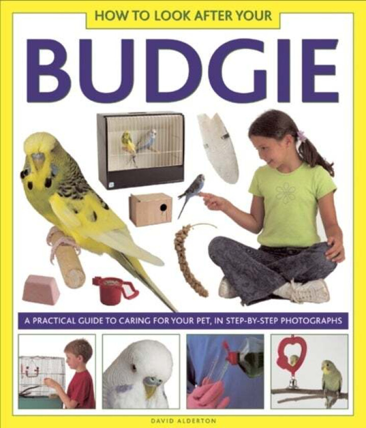 How to Look After Your Budgie av Alderton David