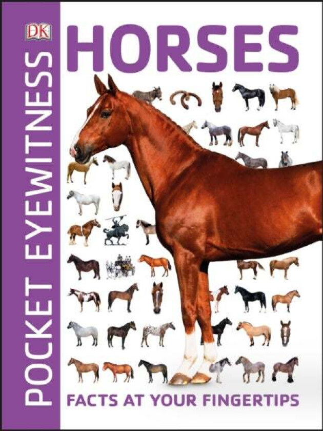 Pocket Eyewitness Horses av DK