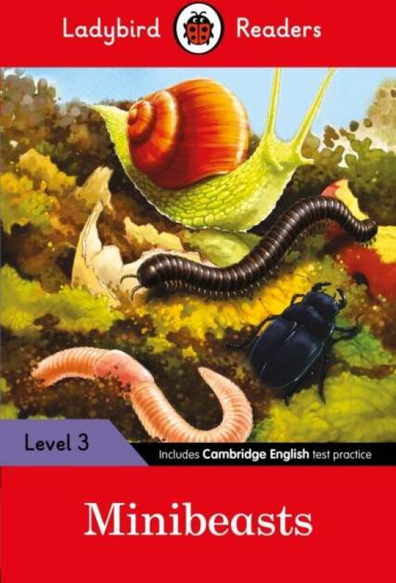 Ladybird Readers Level 3 - Minibeasts (ELT Graded Reader) av Ladybird