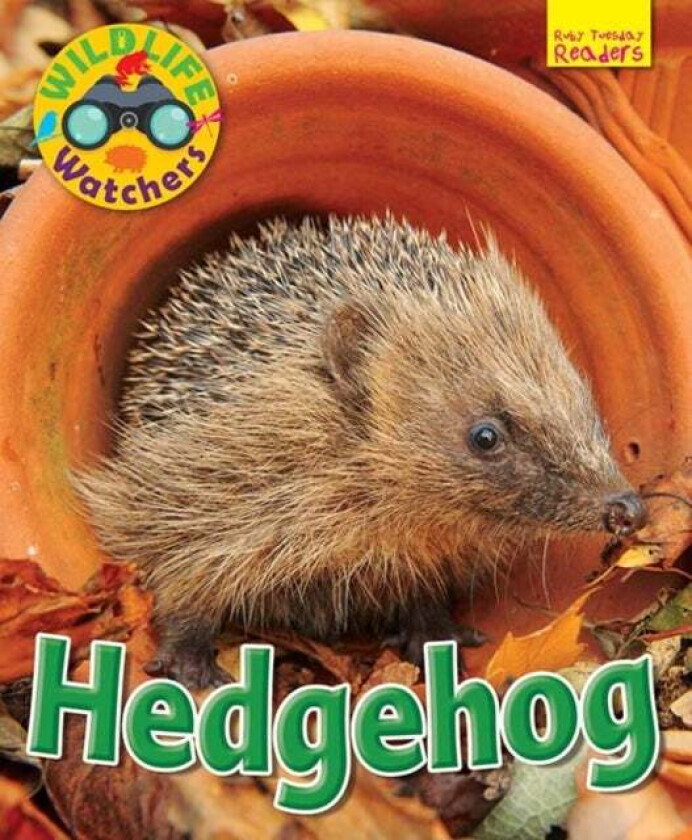 Wildlife Watchers: Hedgehog av Ruth Owen