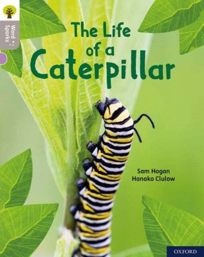 Oxford Reading Tree Word Sparks: Level 1: The Life of a Caterpillar av Sam Hogan