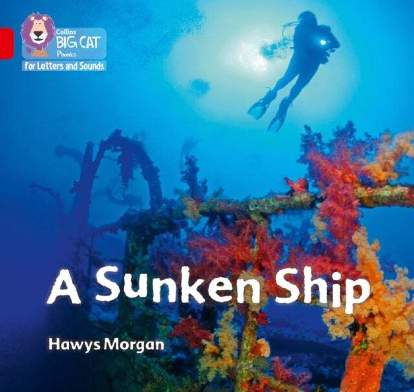 A Sunken Ship av Hawys Morgan