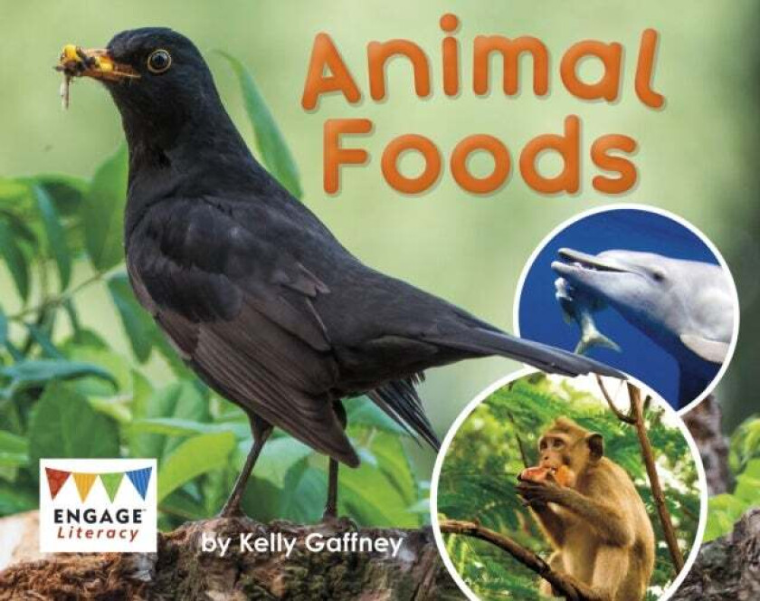 Animal Foods av Kelly Gaffney