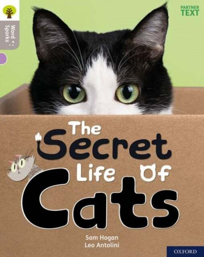 Oxford Reading Tree Word Sparks: Level 1: The Secret Life of Cats av Sam Hogan