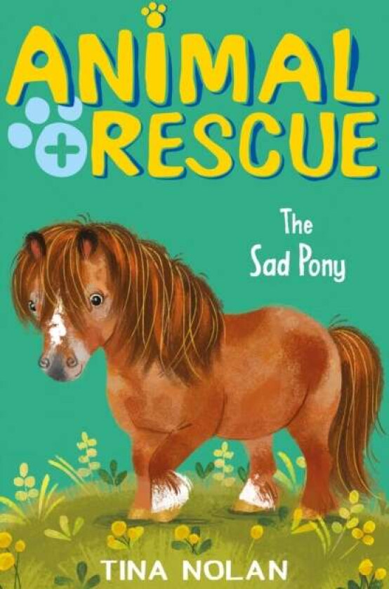 The Sad Pony av Tina Nolan