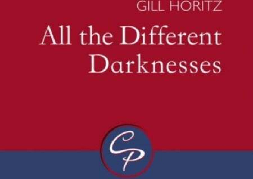 All the Different Darknesses av Gill Horitz