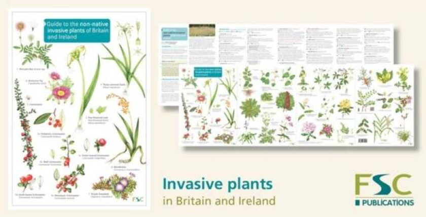 Guide to the non-native invasive plants of Britain and Ireland av Rebecca Farley-Brown