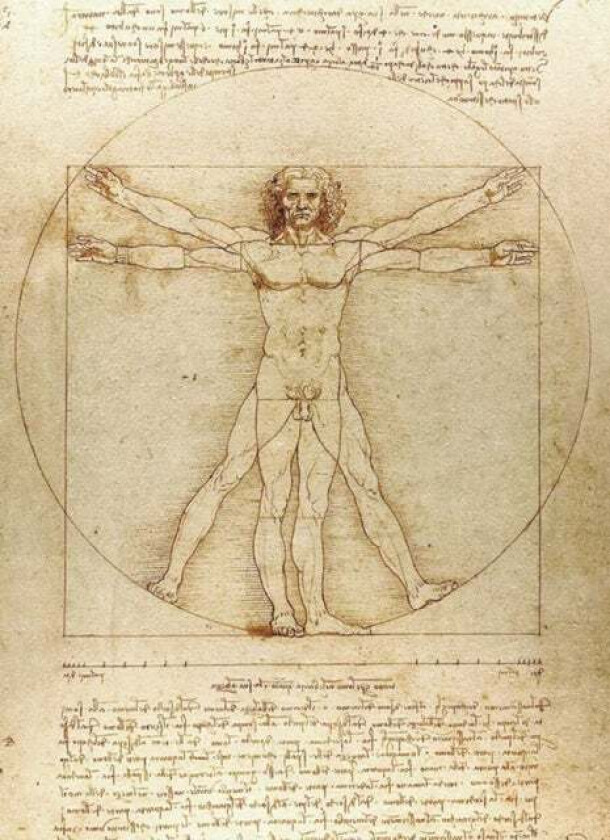 Vitruvian Man Notebook av 0 Leonardo da Vinci