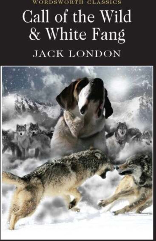 Call of the Wild & White Fang av Jack London