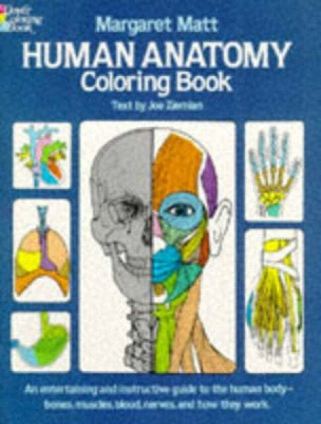 Human Anatomy av Margaret Matt, Joe Ziemian