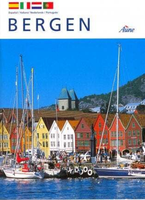 Minibok Bergen. av .