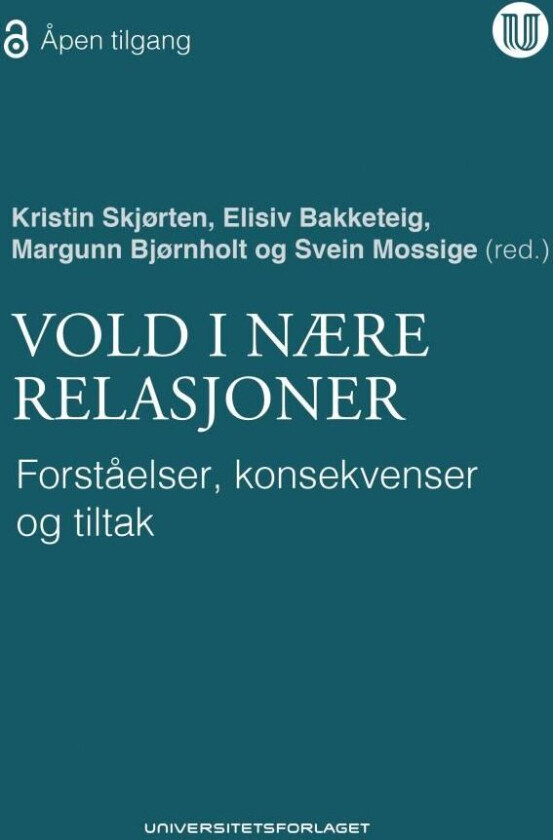 Vold i nære relasjoner av Elisiv Bakketeig, Margunn Bjørnholt, Svein Mossige, Kristin Skjørten