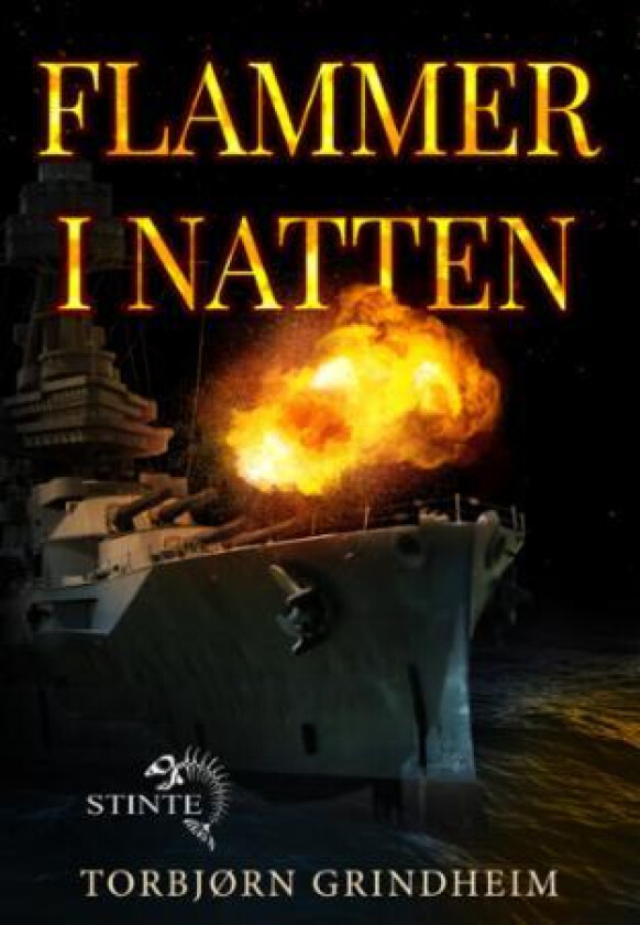 Flammer i natten av Torbjørn Grindheim