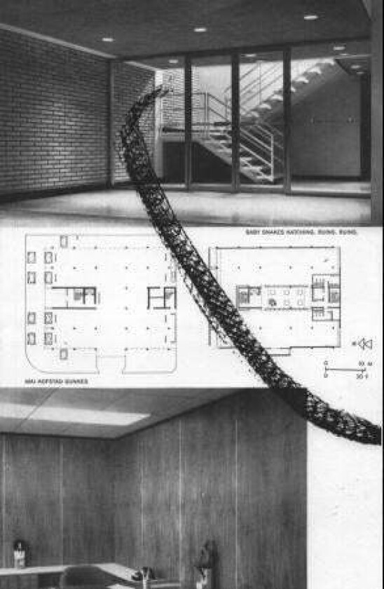 Baby snakes hatching av Mai Hofstad Gunnes